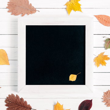 Autumn composition. Front view of an empty black board for writing with chalk. White rustic wooden background and colorful different autumn leaves. Flat lay, top view, copy space 