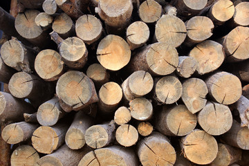 Background of firewood. Wooden background. Folded firewood