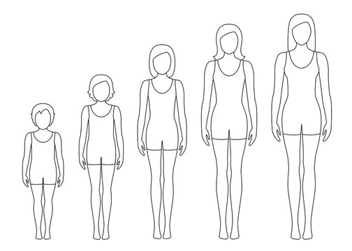 Women's body proportions changing with age. Girl's body growth stages. Vector contour illustration. Aging concept. Illustration with different girl's age from baby to adult.