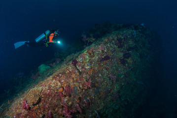 Fototapeta na wymiar Young woman scuba diving on a beautiful soft coral reef in South Andaman, Thailand