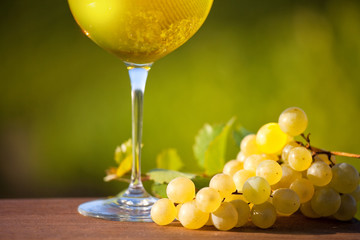 Verre de vin blanc, raisin et vigne en lumière