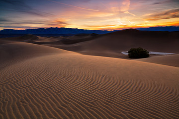 Fototapeta na wymiar Desert in Mesquite Flat, Death Valley National Park, USA.