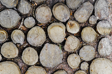 wooden tiles with slices of wood