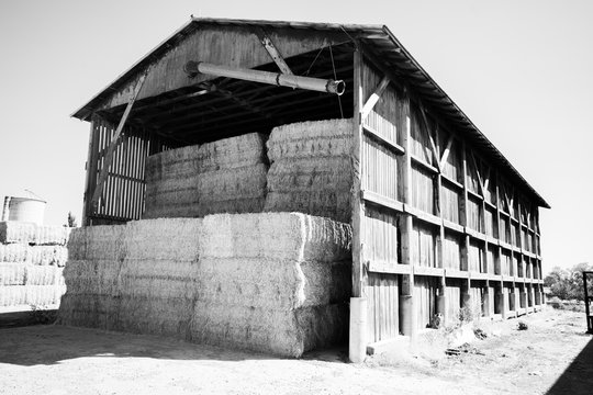 Black & White Barns