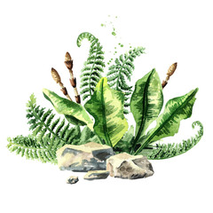 Prehistoric plants composition, watercolor hand drawn illustration, isolated on white background