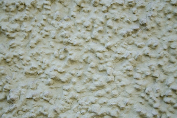 Textural decoration of the wall. Fragment. Macro. Gray - Green color