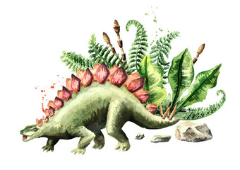 Stegosaurus dinosaur with prehistorical. Watercolor hand drawn illustration, isolated on white background