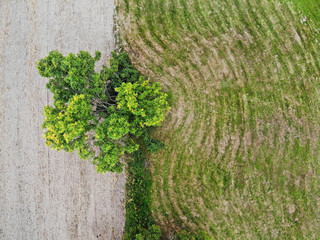 Green fields. © Tomasz Warszewski
