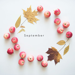 Frame of red apples and leaves on a white background. Autumn composition. The word "September". 