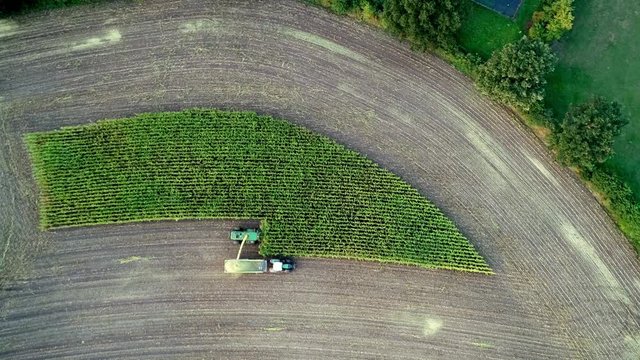 Maisernte, Erntewagen mit Traktor