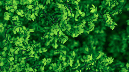 Beautiful summer background with leaves. 3d illustration, 3d rendering.