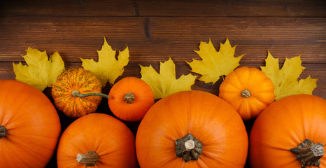 Pumpkins and maple leaves