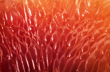 Hintergrund der Grapefruitscheibe. Abstrakte Makroaufnahme.