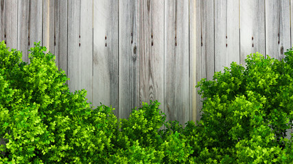 Beautiful summer background with leaves and white space. 3d illustration, 3d rendering.