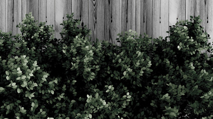 Beautiful summer background with leaves and white space. 3d illustration, 3d rendering.