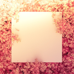 Beautiful pink background with leaves, season of the year. 3d illustration, 3d rendering.