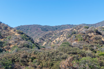 Late summer in Southern California mountains with dry hillsides and deep blue sky