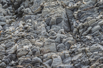 rock texture