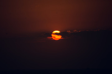 Sole