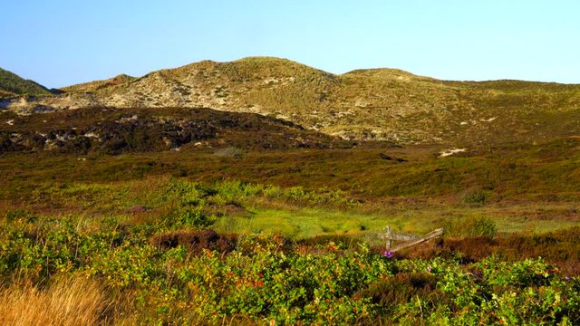 Sylt Wander D&uuml;nen und Heide Landschaft 