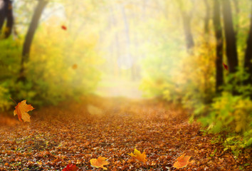Schöne Herbstlandschaft mit gelben Bäumen, Grün und Sonne. Buntes Laub im Park. Fallende Blätter natürlichen Hintergrund