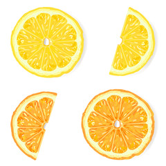 Citrus slices, top view. Realistic illustration.
