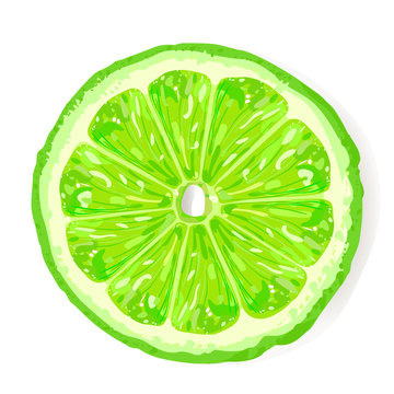 Lime Slice, top view. Realistic illustration.