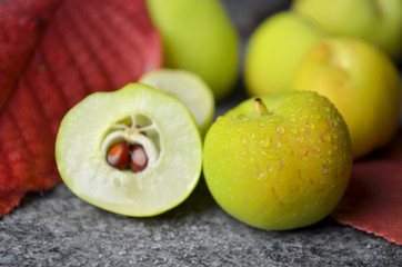 Fototapeta na wymiar fresh quince organic bio fruits eco