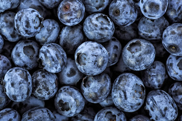 Fresh blueberries background