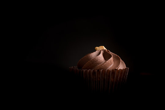 Commercial Low Key Chocolate Cake With Icing Sugar