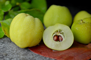Fototapeta na wymiar Fresh quince fruit organic bio eco