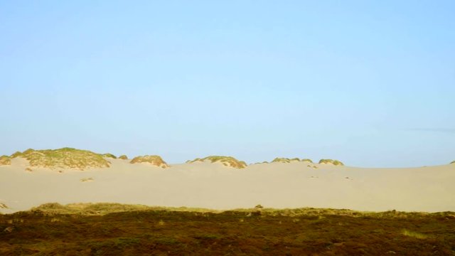Sylt Wander D&uuml;nen und Heide Landschaft 
