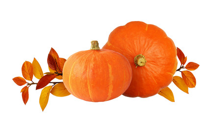 Two orange pumpkins and autumn leaves