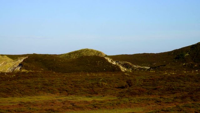 Sylt Wander D&uuml;nen und Heide Landschaft 
