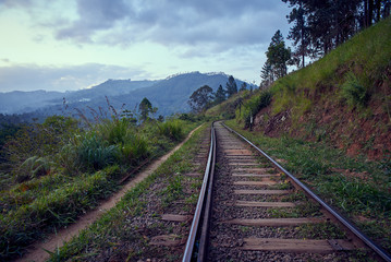 Fototapeta na wymiar Railway in the jungles of Sri Lanka