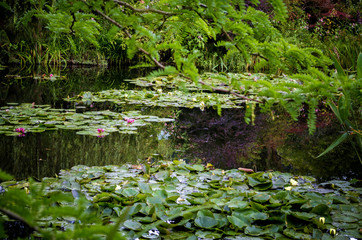 Monet's Gardens and House at Giverny, Normandy, France