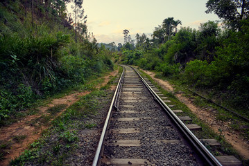 Obraz premium Railway in the jungles of Sri Lanka