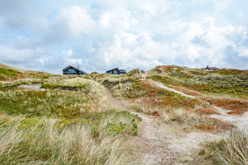 Dune landscape at the North Sea with holiday homes near Henne Strand, Jutland Denmark Scandinavia