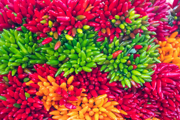 Abstract view of chilies on sale at the Rialto Market in Venice, Italy - obrazy, fototapety, plakaty