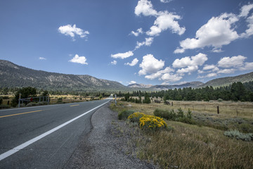 A road going into the distance with blue sky sky, white clouds, mountains, trees and grass
