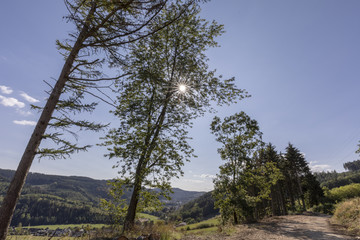 Wanderweg im Sauerland mit Sonne im Herzen