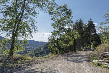 Wanderweg im Sauerland mit Alpakas