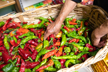 sweet and spicy peppers, called Pipi, typical product of southern Italy, Orsomarso, Calabria, Italy