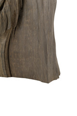 Product from the roots of oak in white background.