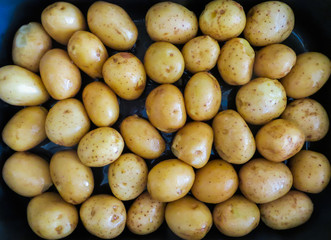 young, delicious potatoes in the form for baking, poured with olive oil