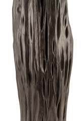 Product from the roots of oak in white background.