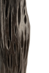 Product from the roots of oak in white background.