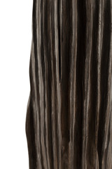 Product from the roots of oak in white background.