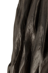 Product from the roots of oak in white background.