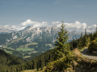 Pinzgau in Österreich